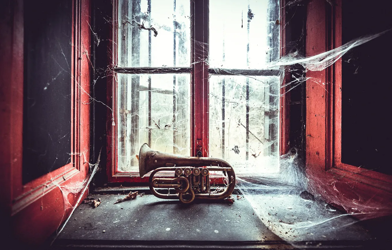 Фото обои паутина, окно, забытый, духовой музыкальный инструмент, Forgotten Tunes