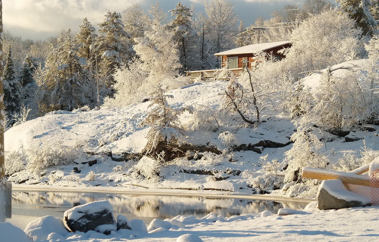 Фото обои зима, снег, деревья, природа, река, Канада, Онтарио