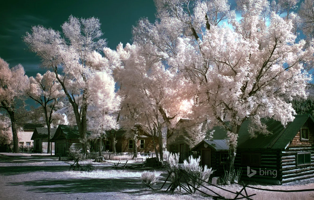 Фото обои иней, небо, деревья, дом, улица, сша, монтана, Bannack State Park