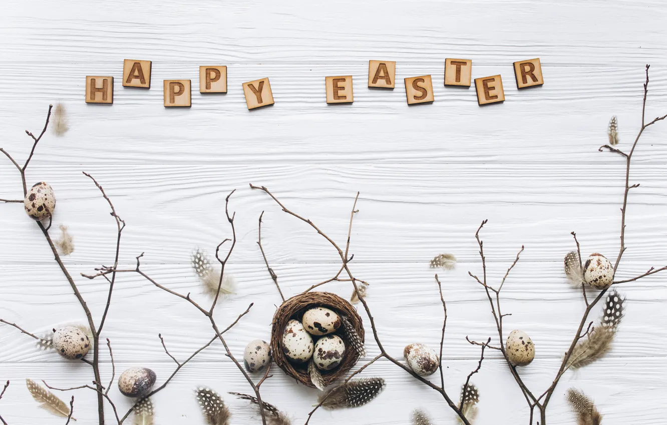 Фото обои яйца, перья, Пасха, wood, spring, Easter, eggs, decoration