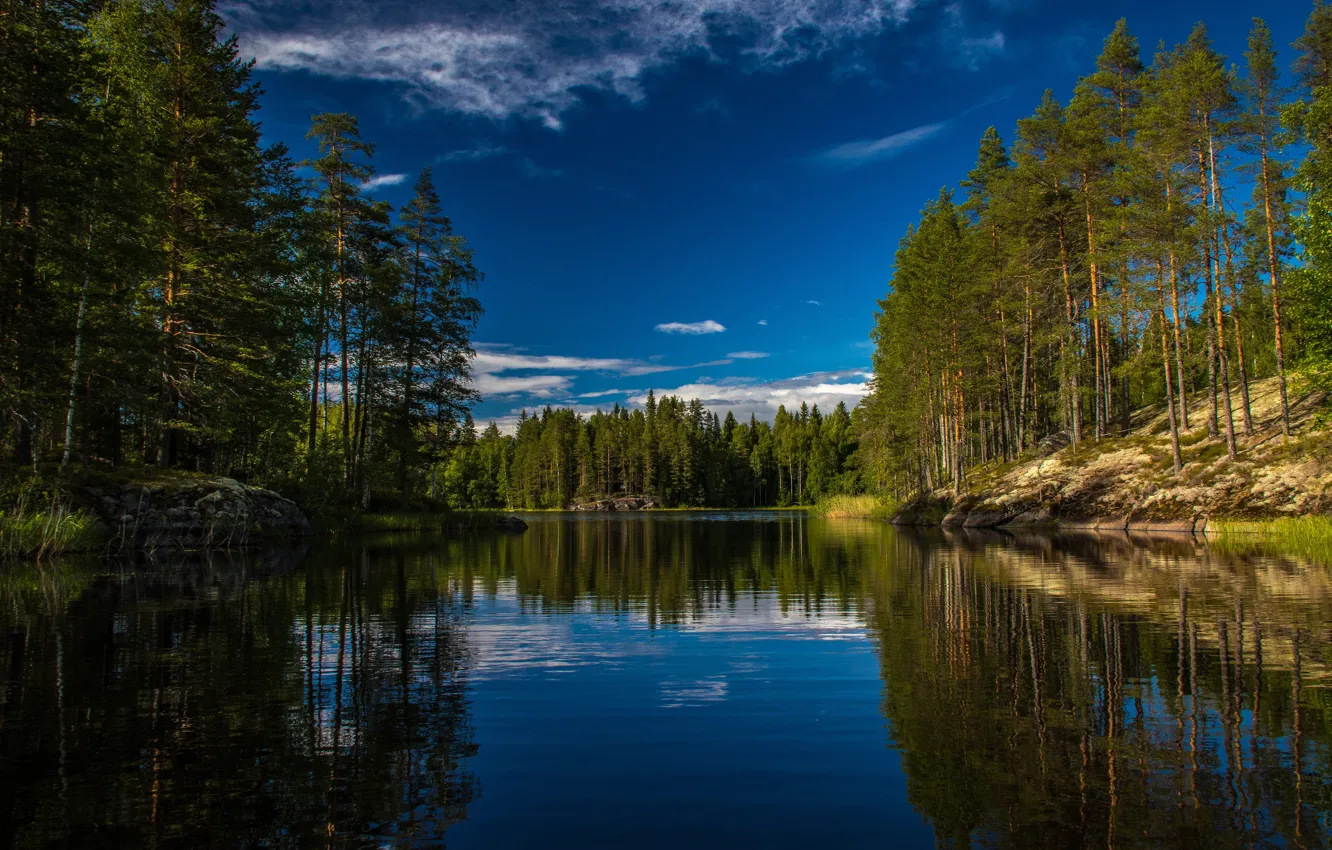 Фото обои лес, деревья, озеро, отражение, Финляндия