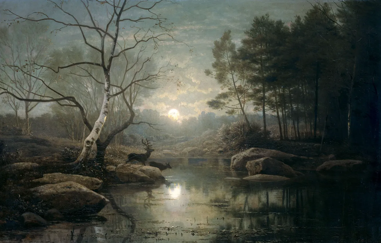 Фото обои животные, масло, картина, холст, Лесной Пейзаж при Лунном Свете, Георг Эдуард Отто Саал