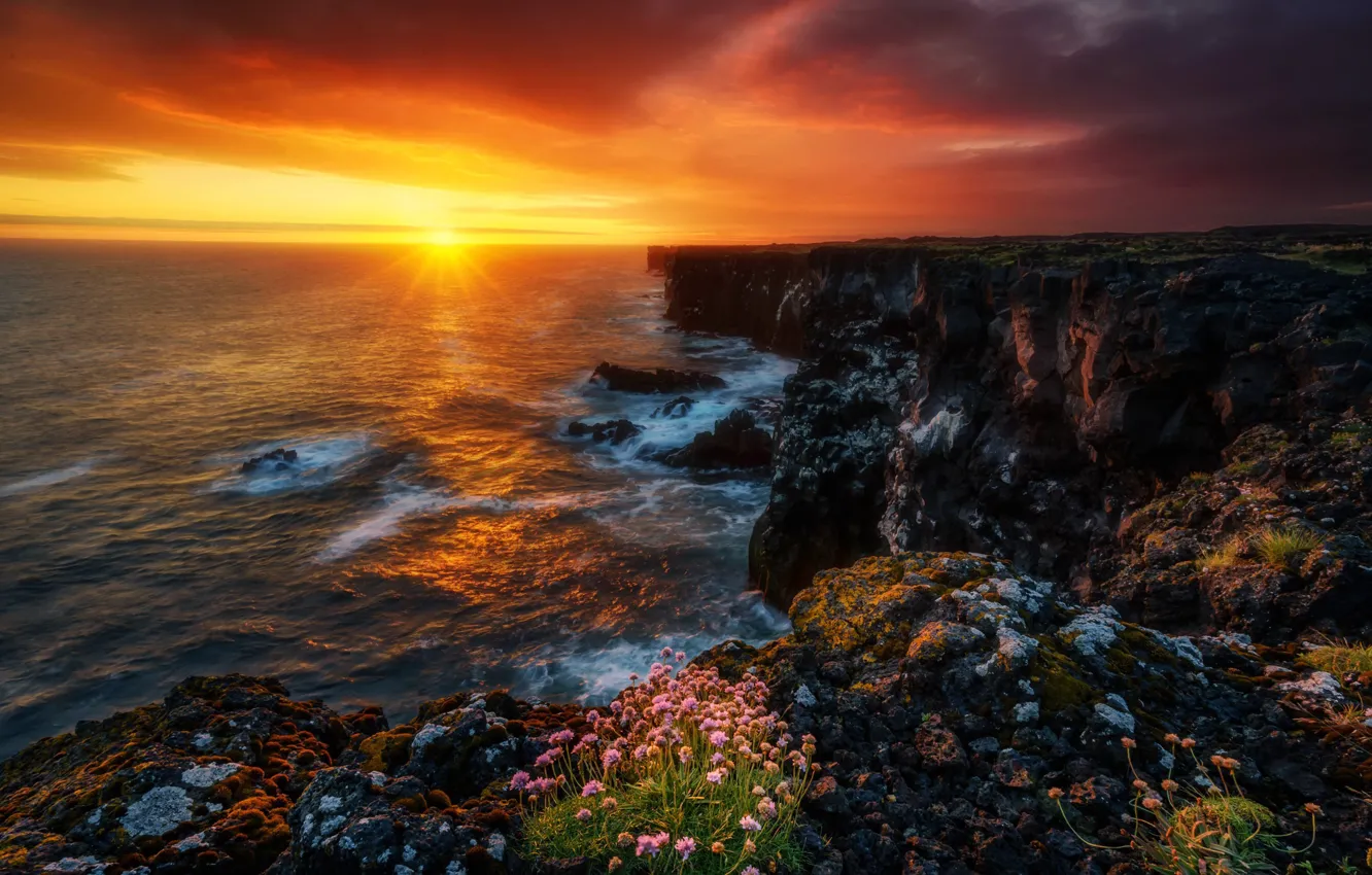 Фото обои море, небо, солнце, лучи, закат, цветы, камни, скалы