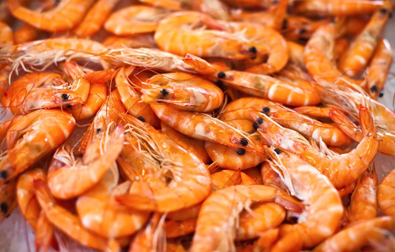 Фото обои wallpaper, food, shrimp, seafood, crustacean