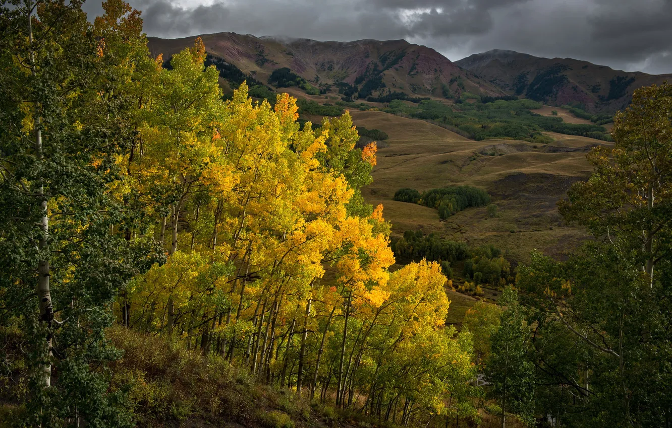 Фото обои осень, листья, деревья, горы, тучи, краски, склон, Колорадо