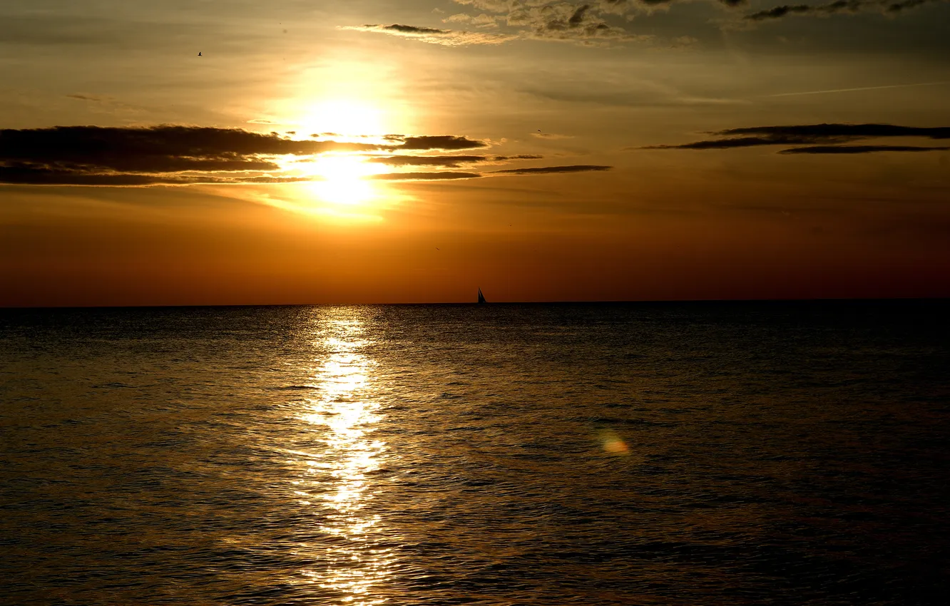 Фото обои море, солнце, закат, парус, блик, Sunset