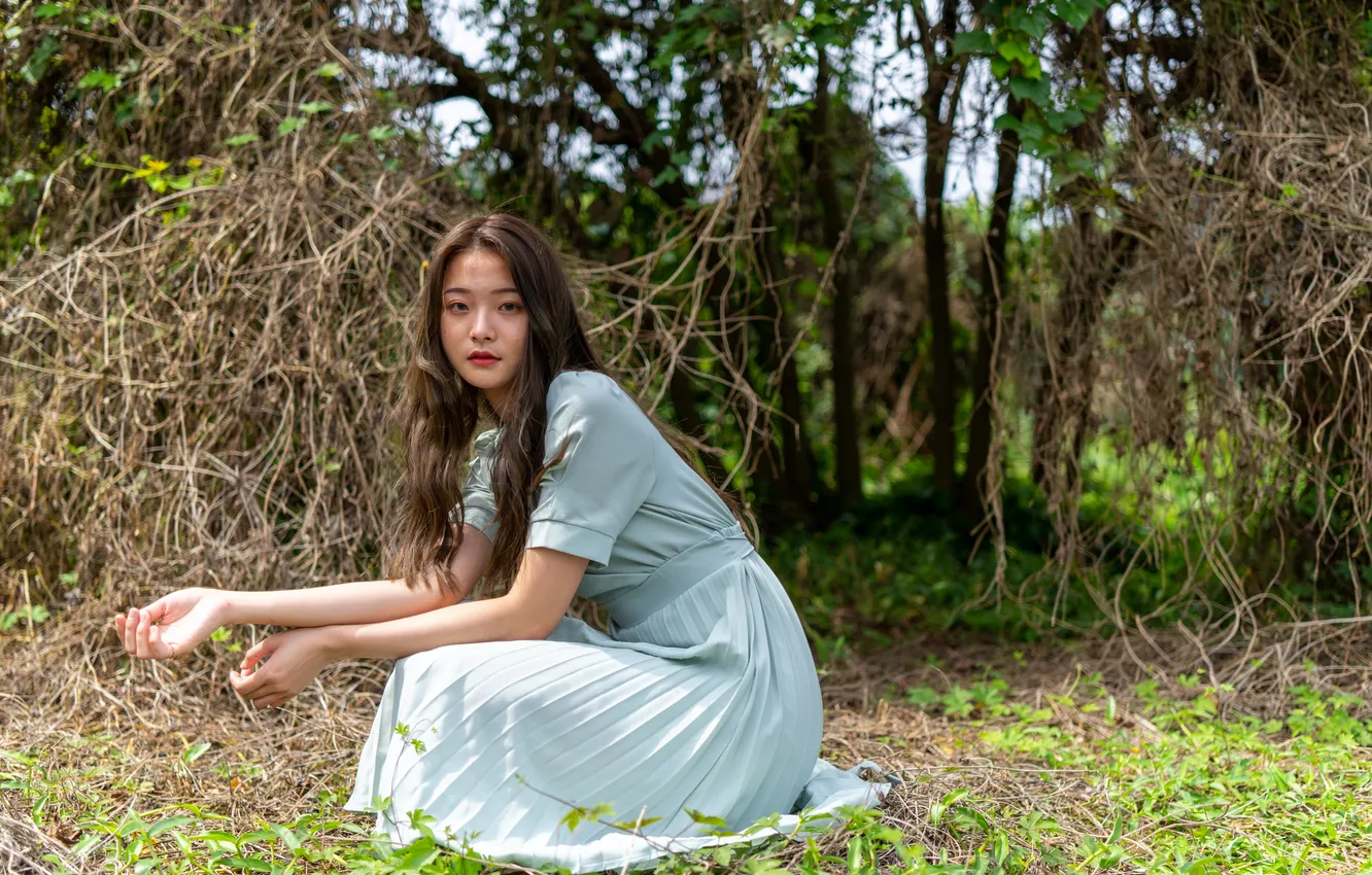 Фото обои девушка, волосы, платье, азиатка