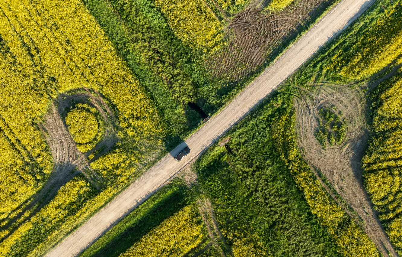 Фото обои field, vehicle, dirt road, drone view