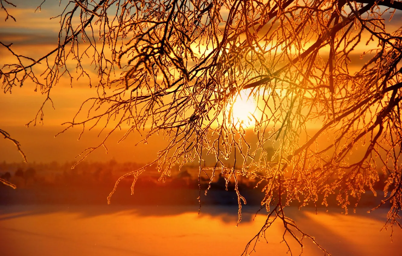 Фото обои зима, солнце, закат, sunset, winter, Sunrises