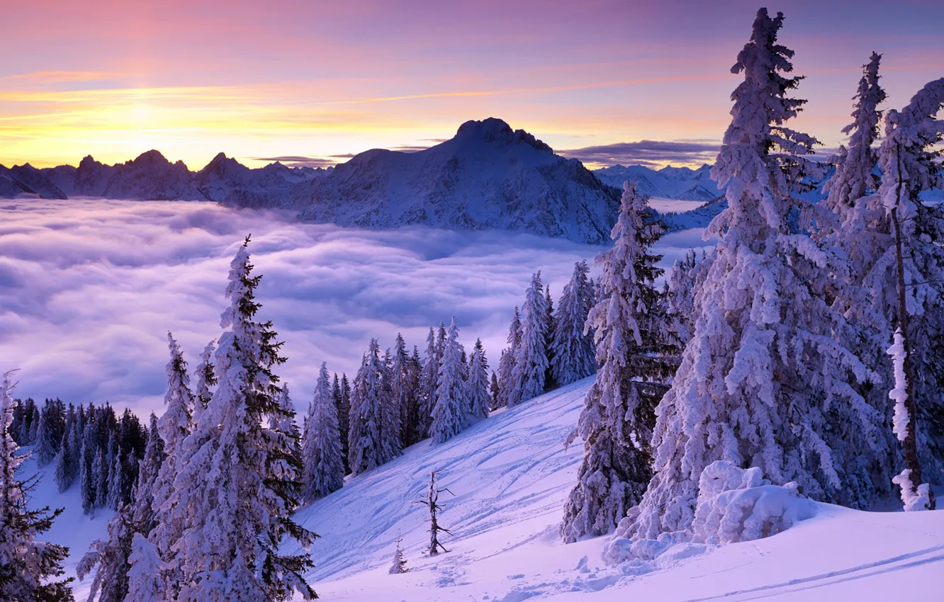 Фото обои зима, небо, облака, снег, деревья, горы, рассвет, склон