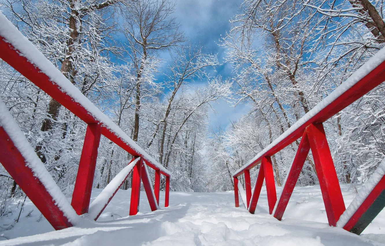 Фото обои зима, снег, парк, мостик