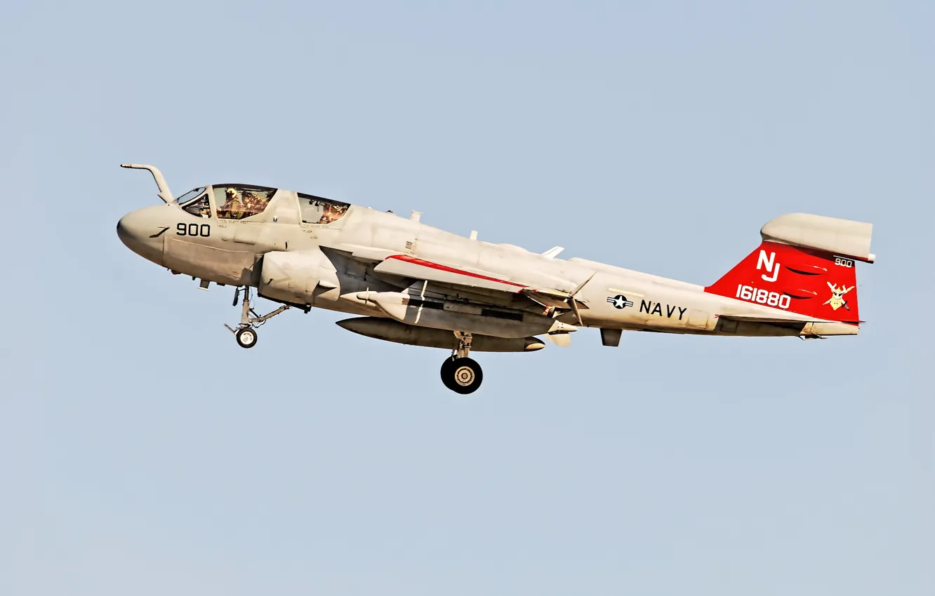 Фото обои самолёт, Grumman, Prowler, палубный, EA-6B