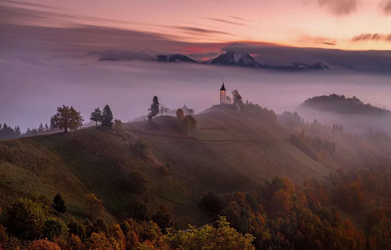 Фото обои осень, деревья, горы, туман, утро, церковь, Словения, Slovenia