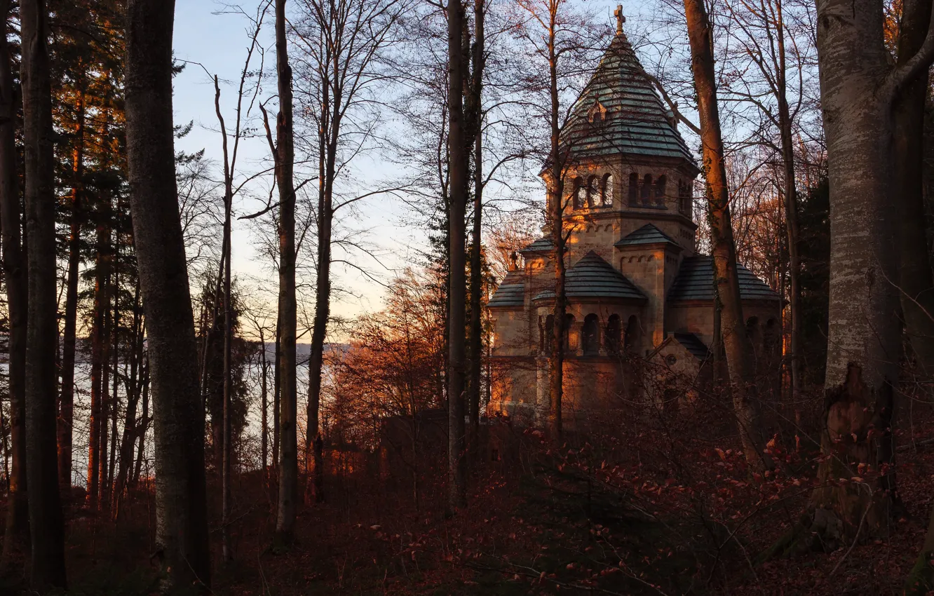 Фото обои осень, лес, ветки, церковь, храм, архитектура