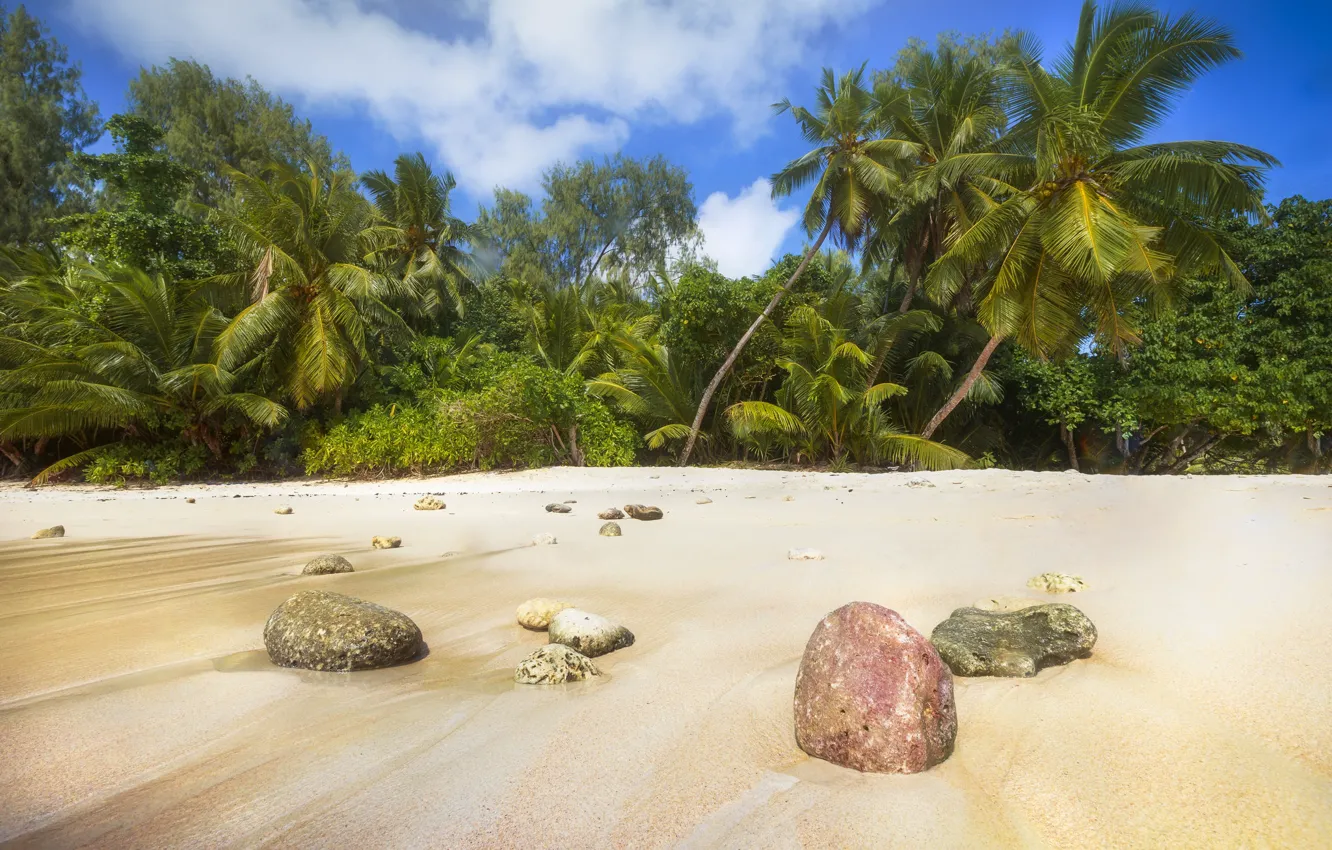 Фото обои песок, пляж, лето, природа, тропики, побережье