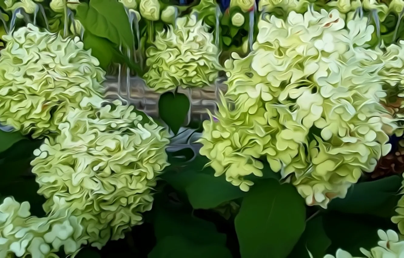 Фото обои рендеринг, зеленые листья, куст, белые цветы, гортензия, пышное цветение