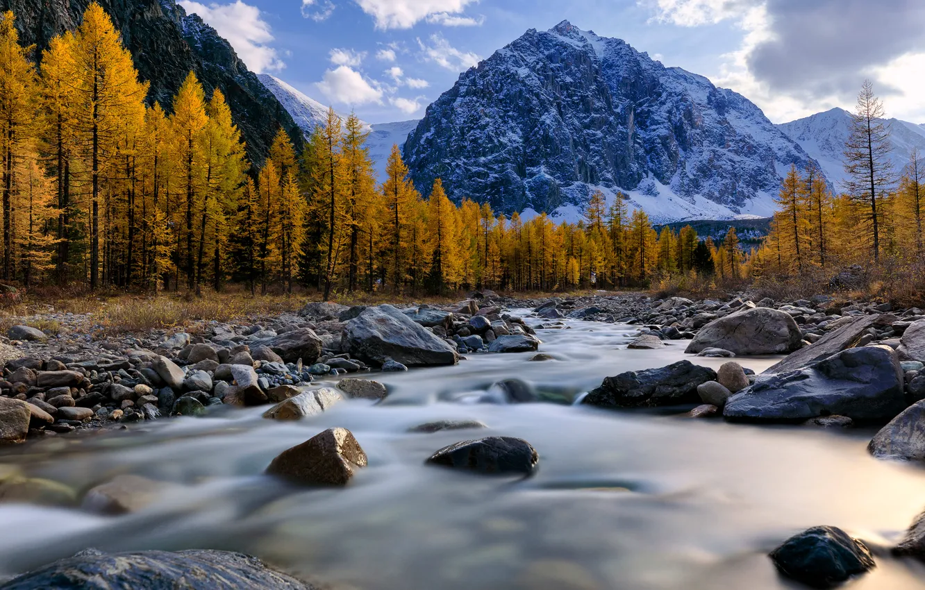 Фото обои forest, sky, landscape, nature, water, autumn, clouds, snow
