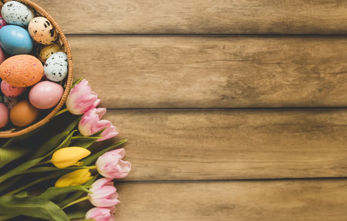 Фото обои цветы, весна, Пасха, тюльпаны, розовые, wood, pink, flowers