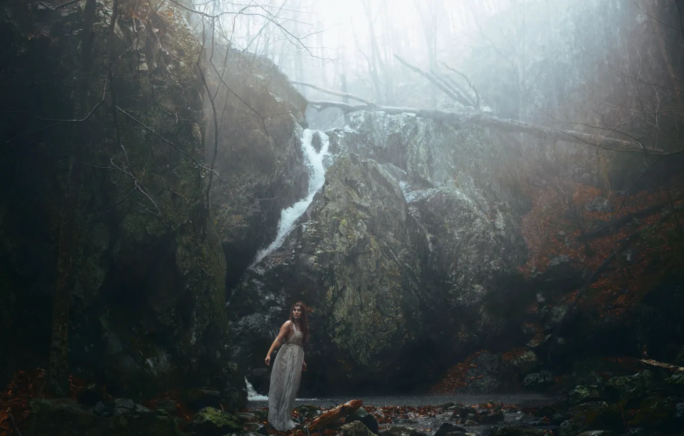 Фото обои девушка, камни, дождь, decay, Aleah Michele, and cold winds, Black woods