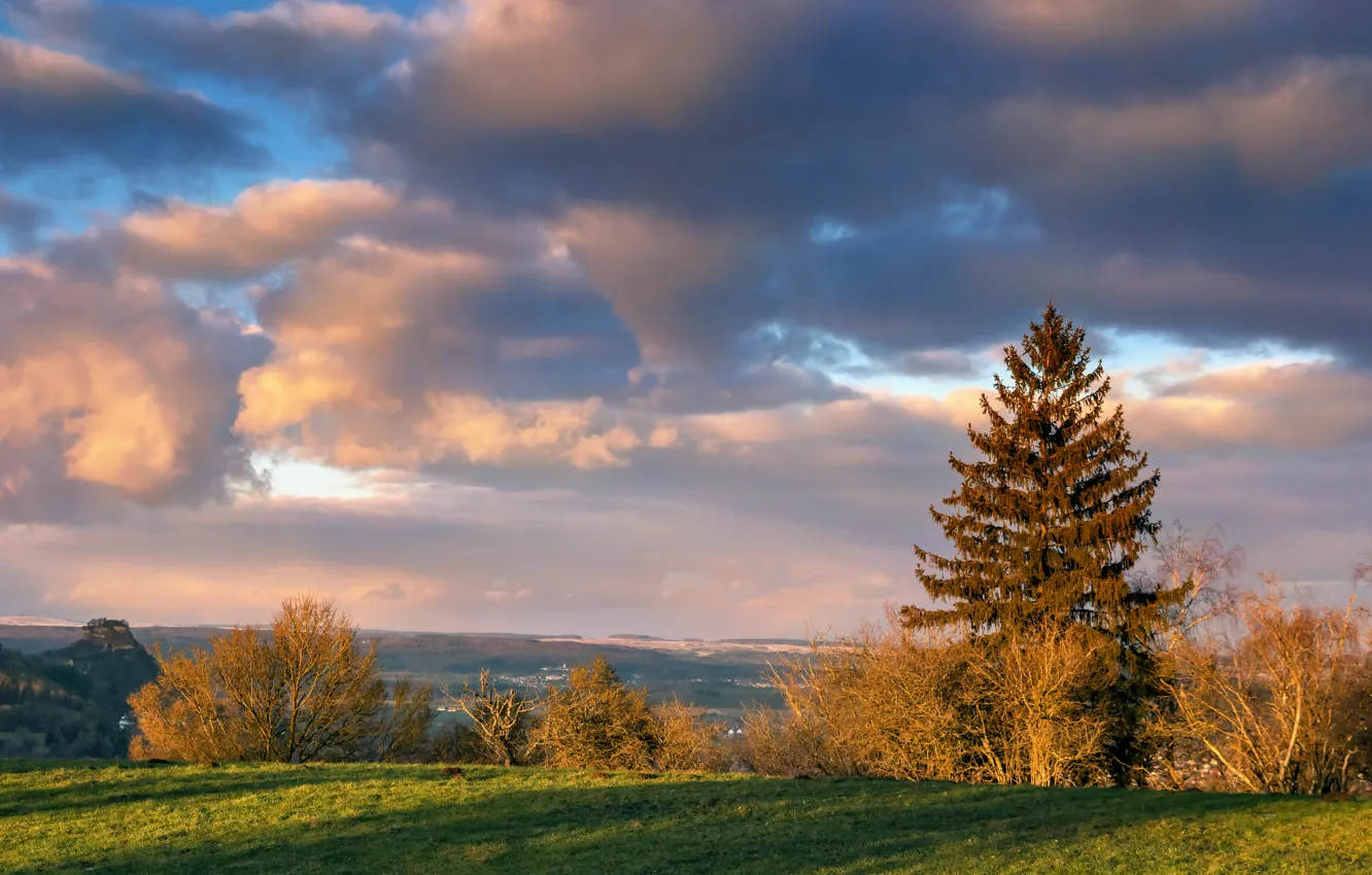 Фото обои поле, осень, небо, облака, деревья, Autumn