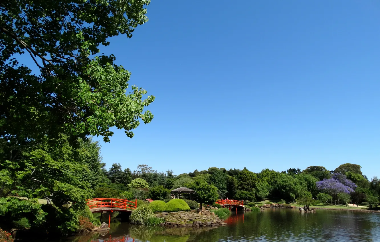 Фото обои небо, деревья, пруд, парк, камни, голубое, Австралия, мостики