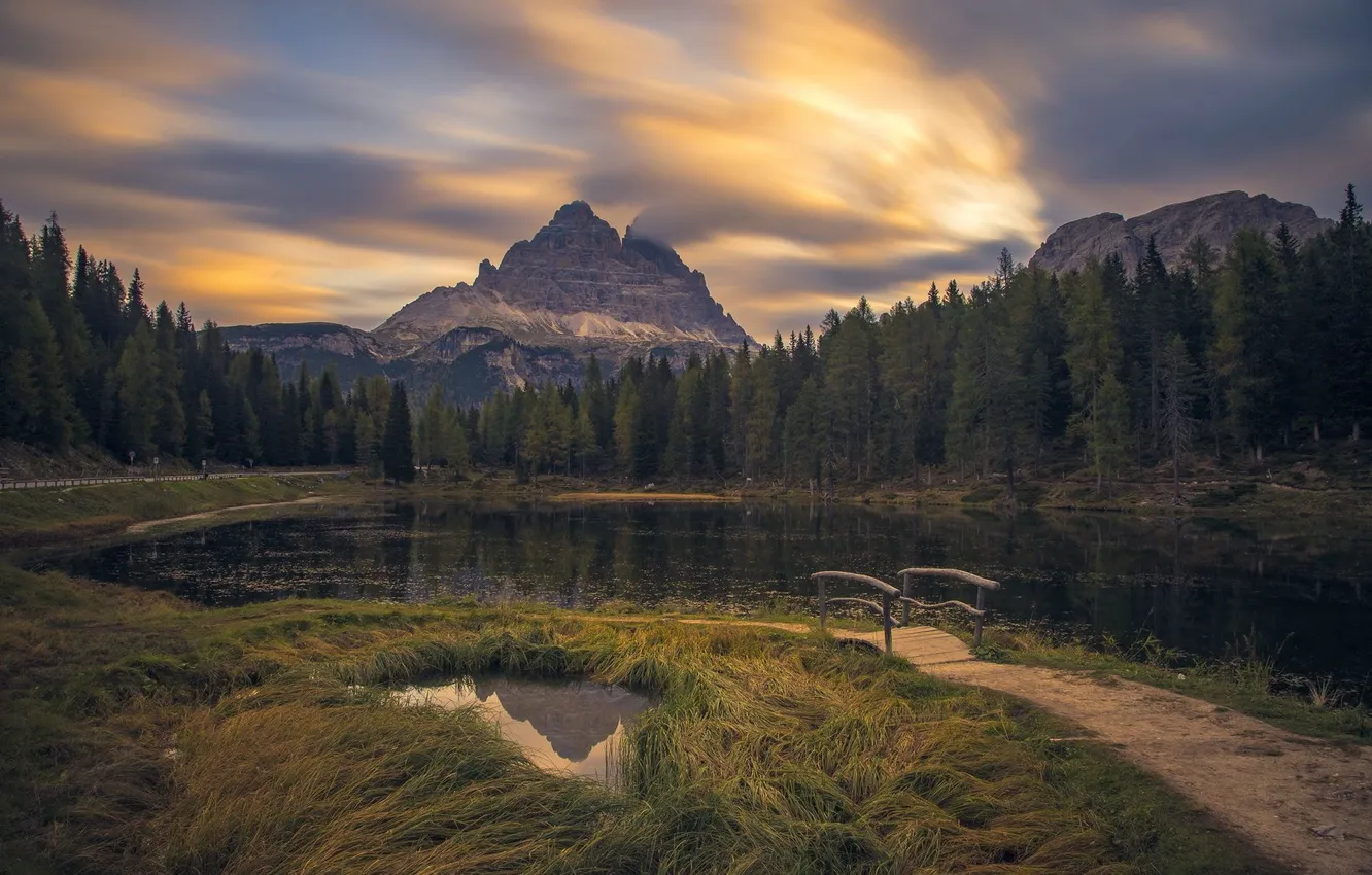Фото обои лес, трава, облака, свет, горы, озеро, скалы, берег