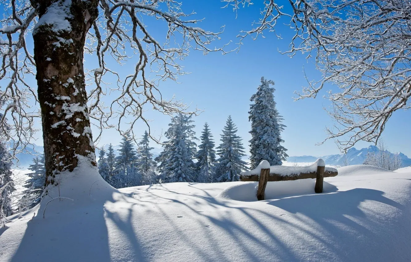 Фото обои зима, лес, небо, снег, пейзаж, скамейка, природа, парк