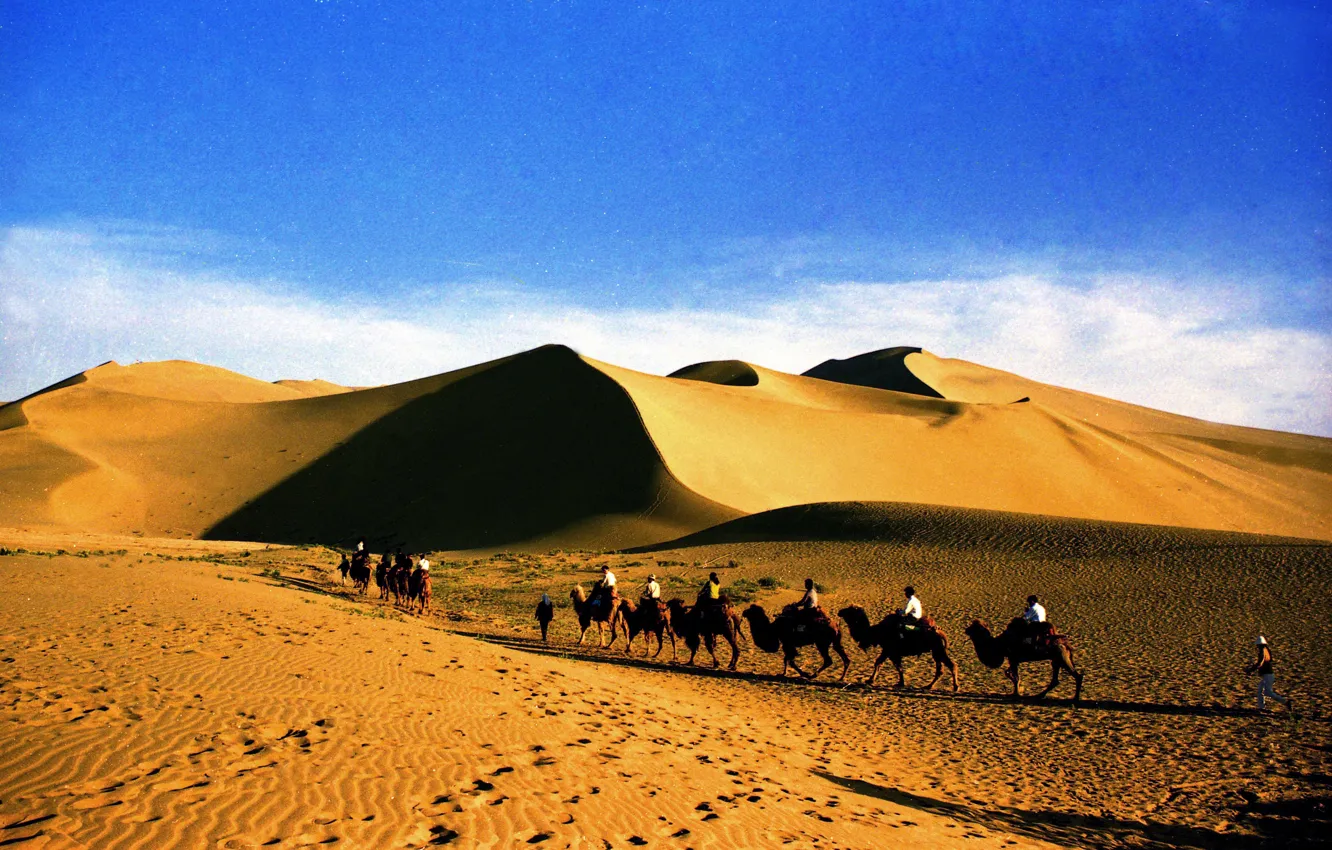 Фото обои песок, пейзаж, барханы, пустыня, караван, туристы, Судан
