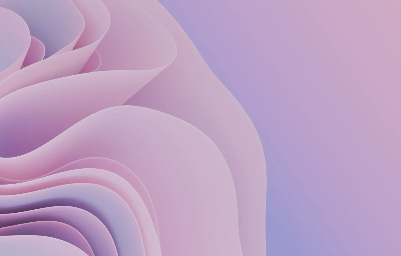Фото обои abstract, windows 11, soft pink