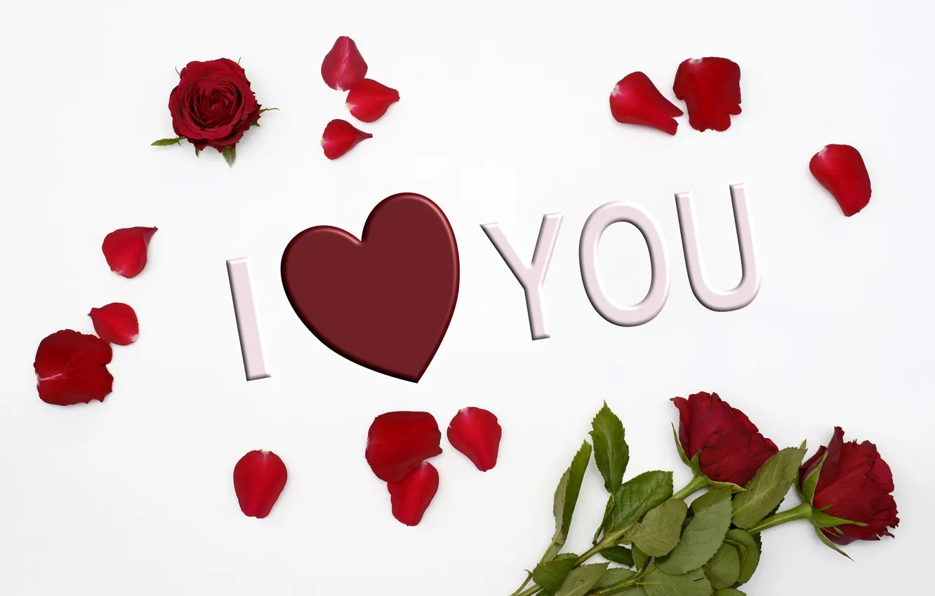 Фото обои любовь, розы, лепестки, valentine's day