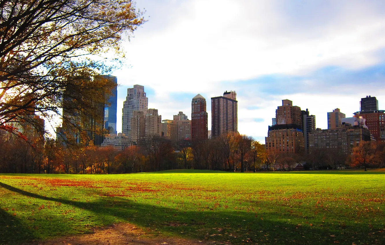 Фото обои парк, листва, дома, вечер, нью-йорк