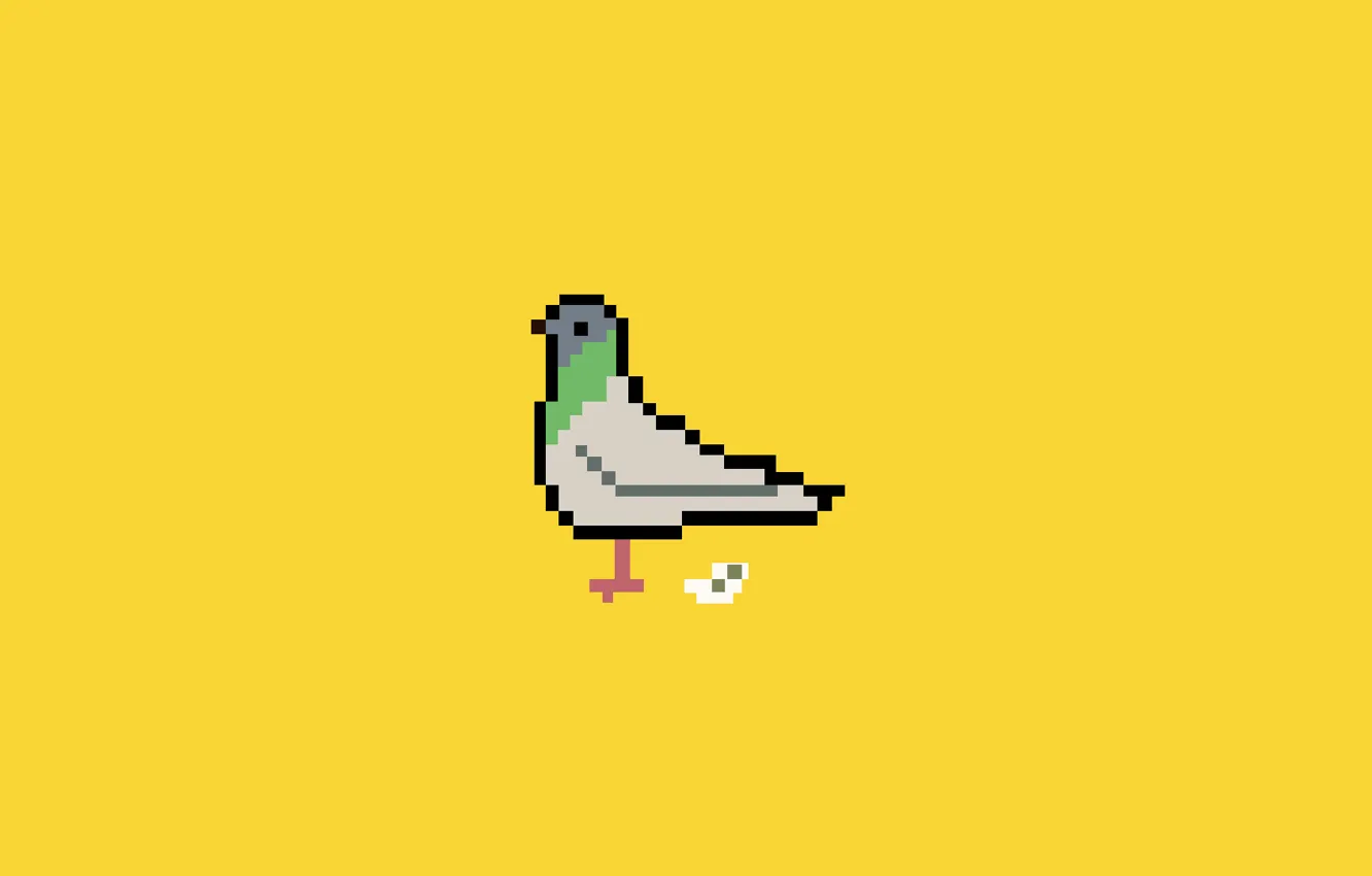 Фото обои голубь, минимализм, minimalism, Dove, помет, droppings