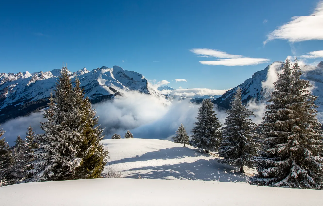 Фото обои зима, небо, снег, деревья, пейзаж, горы, природа, туман