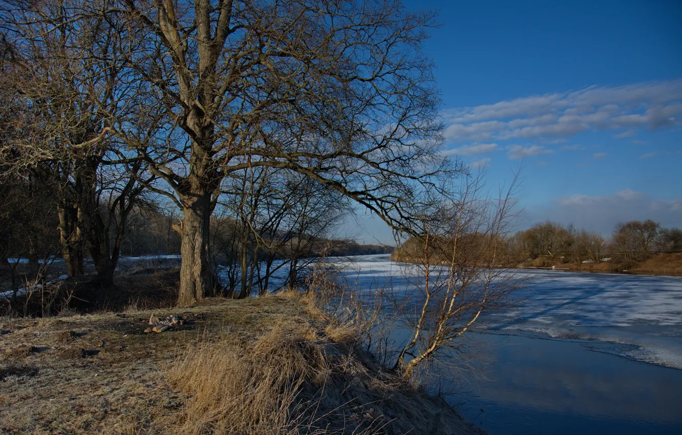 Фото обои лед, река, дерево, берег, утро