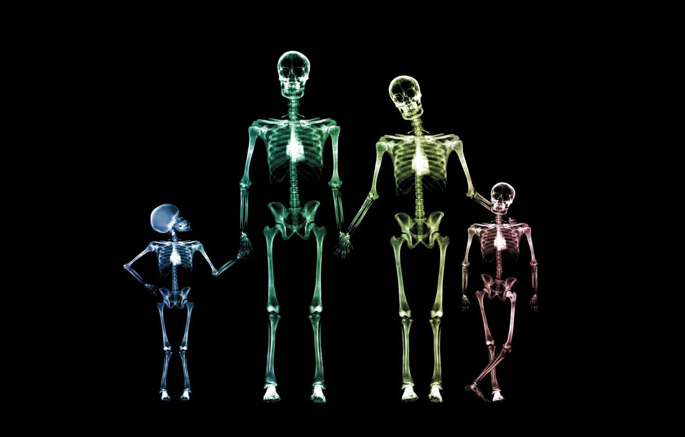 Фото обои семья, скелет, рентген