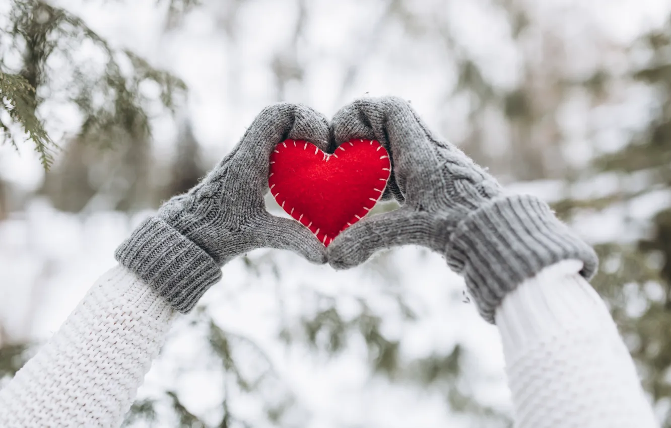 Фото обои зима, снег, любовь, сердце, елка, red, love, heart