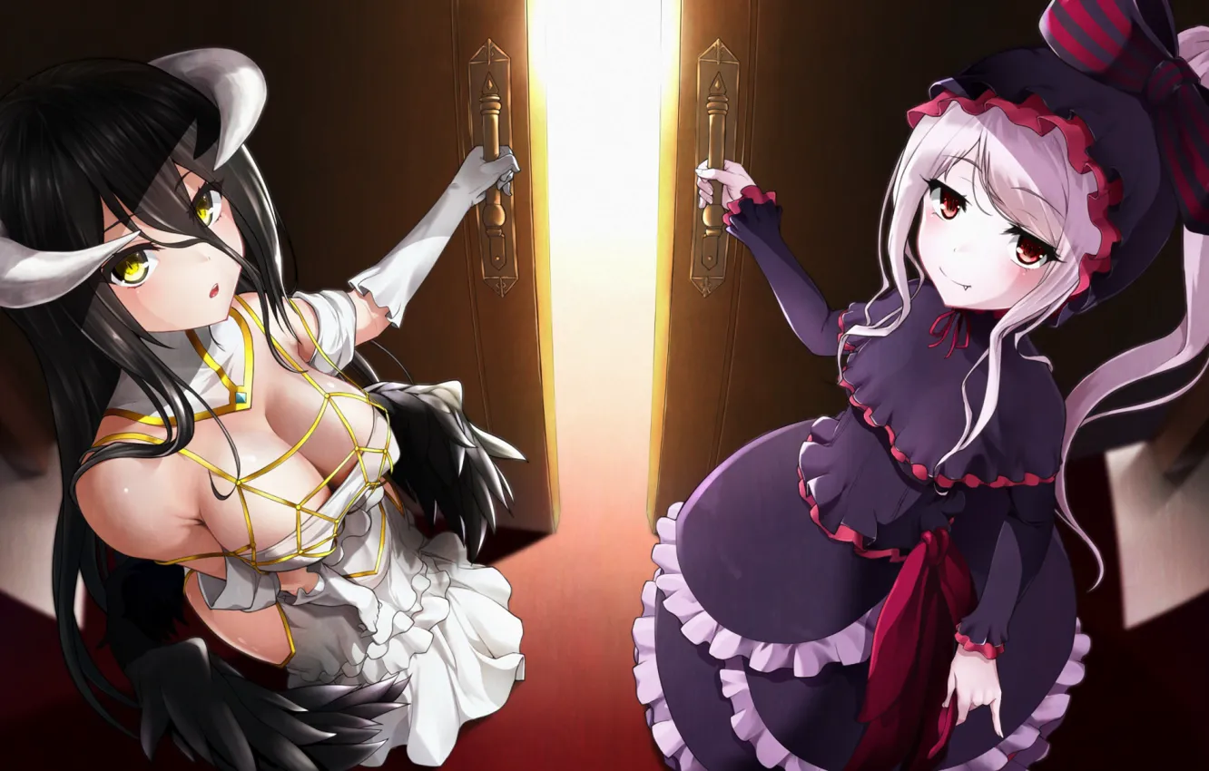 Фото обои девушки, двери, демон, Overlord, вампирша, Albedo, Shalltear Bloodfallen