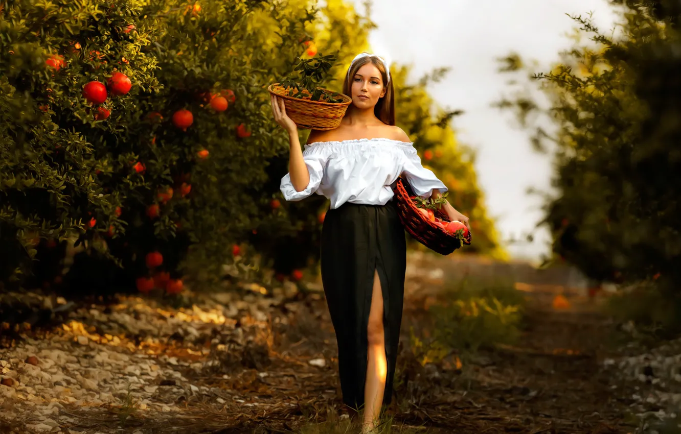 Фото обои девушка, деревья, настроение, юбка, сад, урожай, разрез, блузка