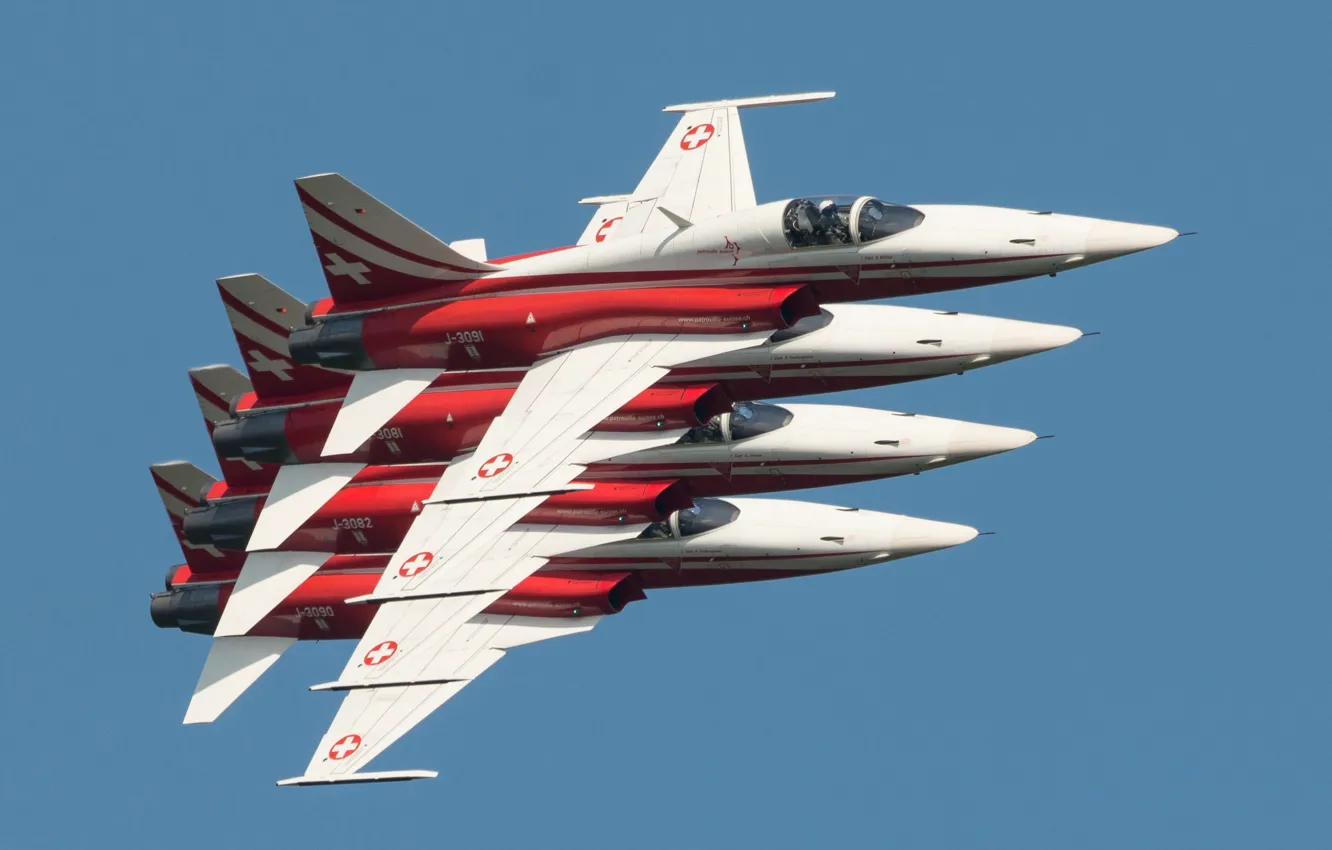 Фото обои истребители, шоу, полёт, Tiger II, F-5E, многоцелевые, «Тайгер» II