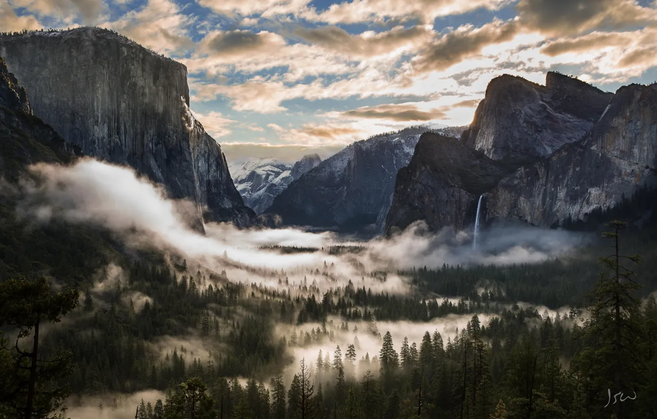 Фото обои лес, облака, деревья, горы, California, Yosemite National Park, Национальный парк, Sierra Nevada mountains