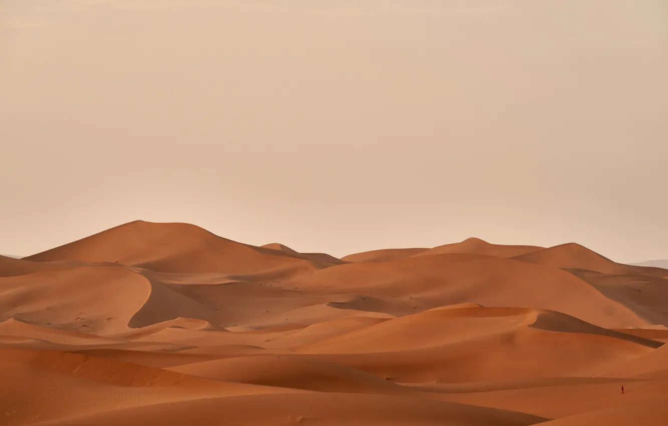Фото обои песок, пустыня, бархан