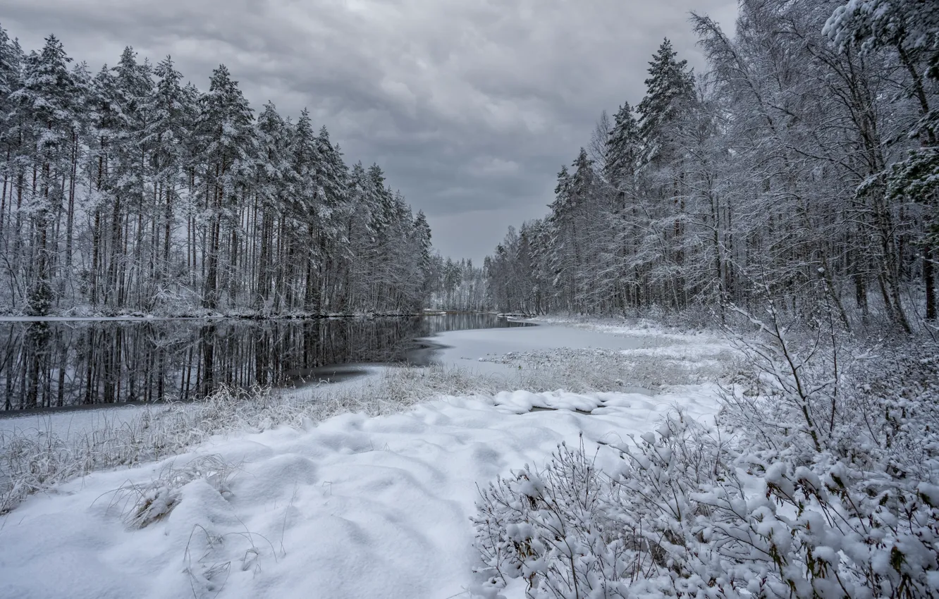 Фото обои зима, лес, река