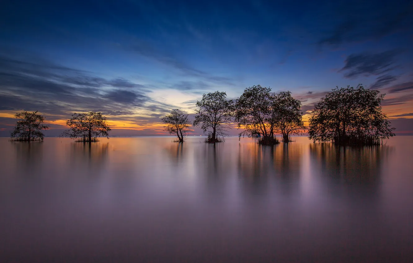 Фото обои деревья, озеро, вечер, Таиланд