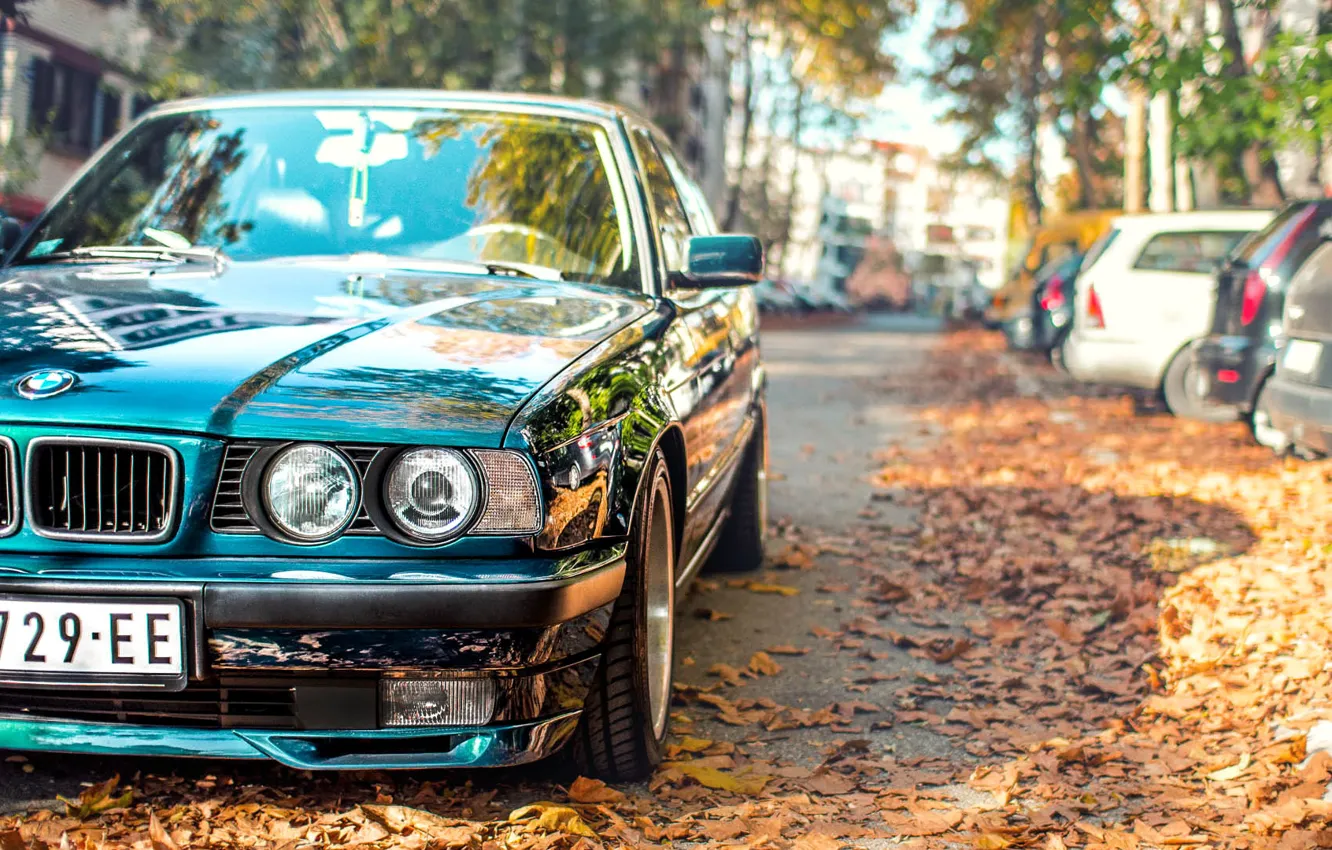 Фото обои осень, листья, BMW, tuning, E34, 525