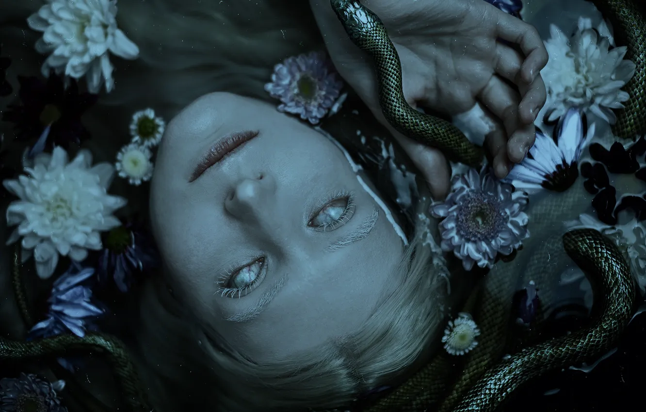 Фото обои вода, девушка, цветы, лицо, темный фон, страх, портрет, змея