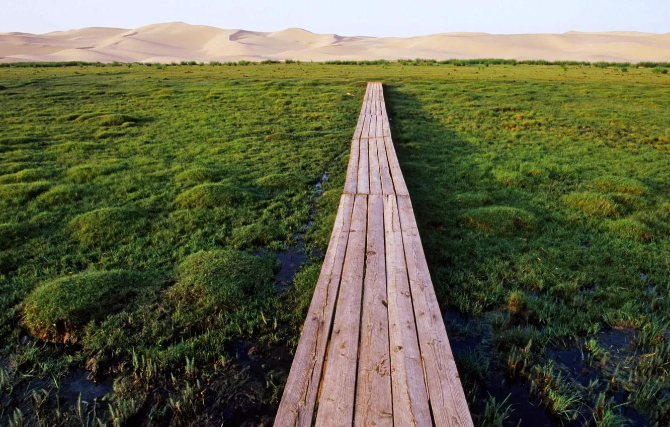 Фото обои болото, мостик, Монголия, Хонгорын Эльс, Гоби