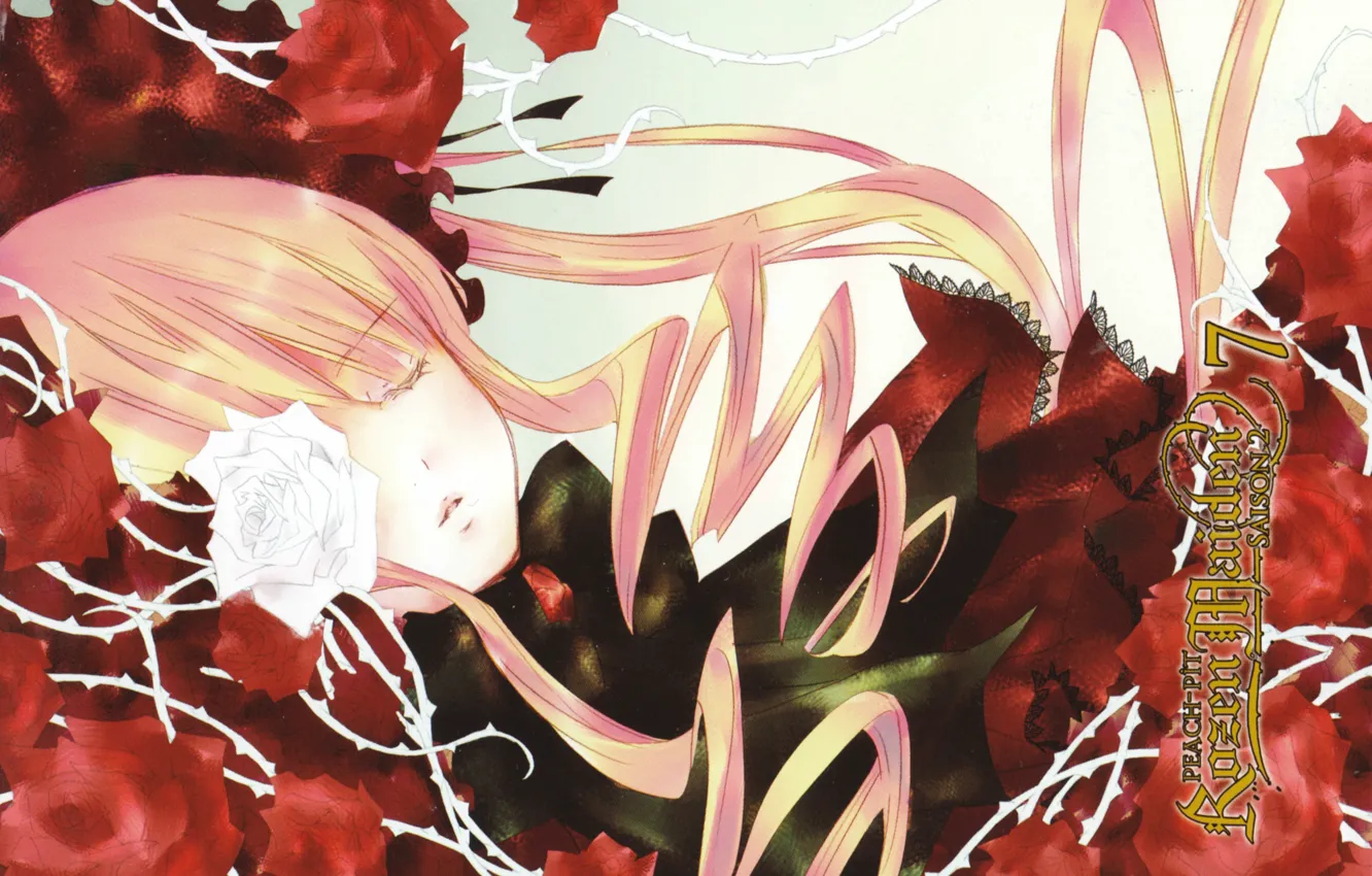 Фото обои сон, шипы, rozen maiden, art, красные розы, shinku, капор, peach-pin