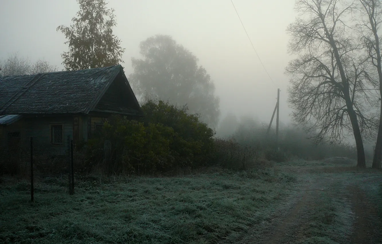 Фото обои туман, дом, деревня