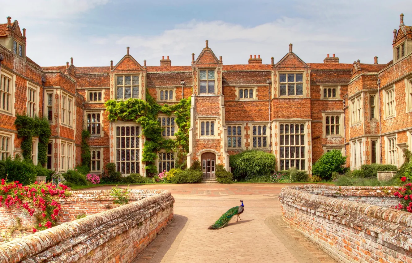 Фото обои здание, Англия, особняк, England, Peacocks, Kentwell Hall