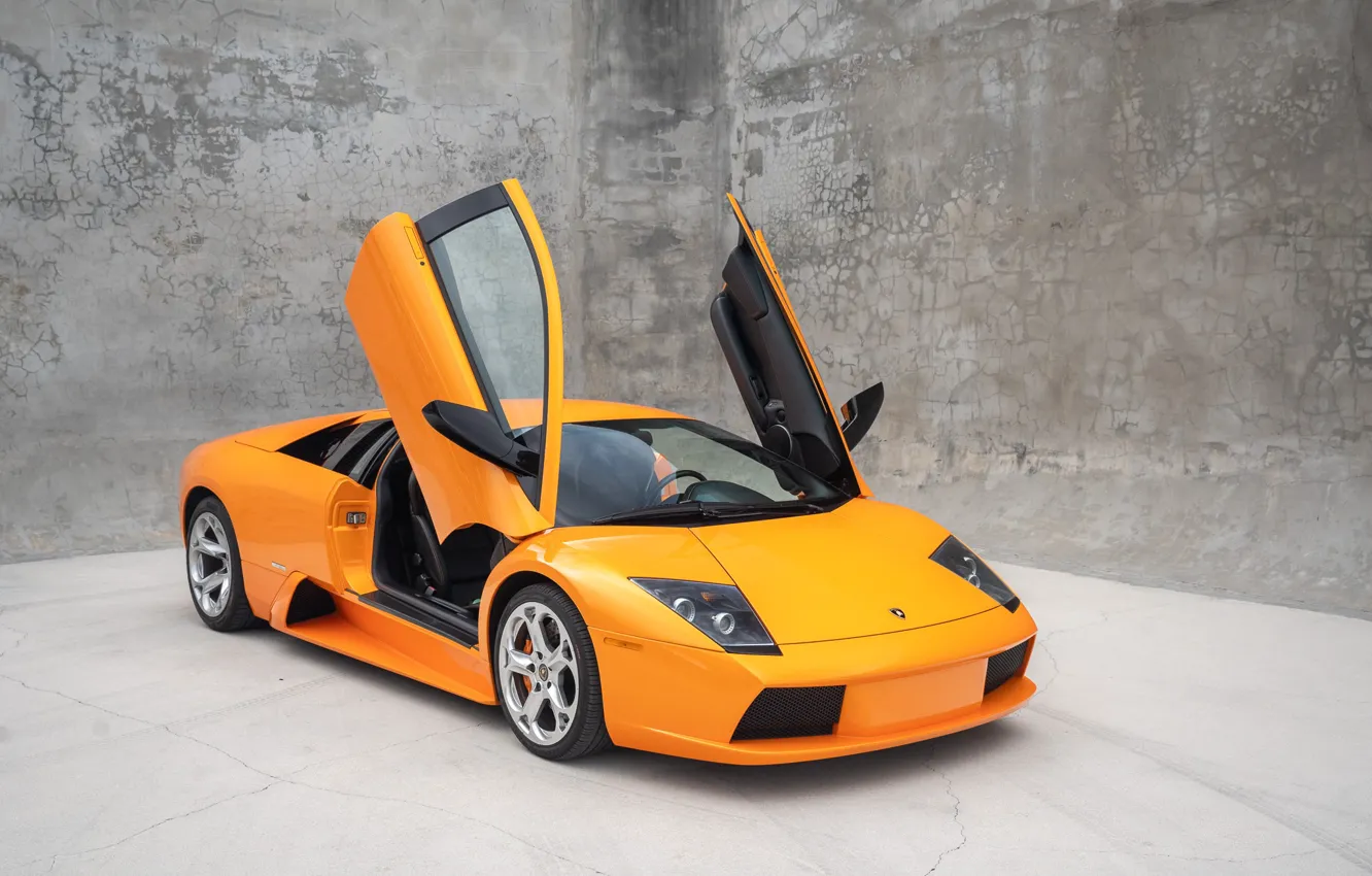 Фото обои оранжевый, Lamborghini, суперкар, Lamborghini Murcielago, Murcielago